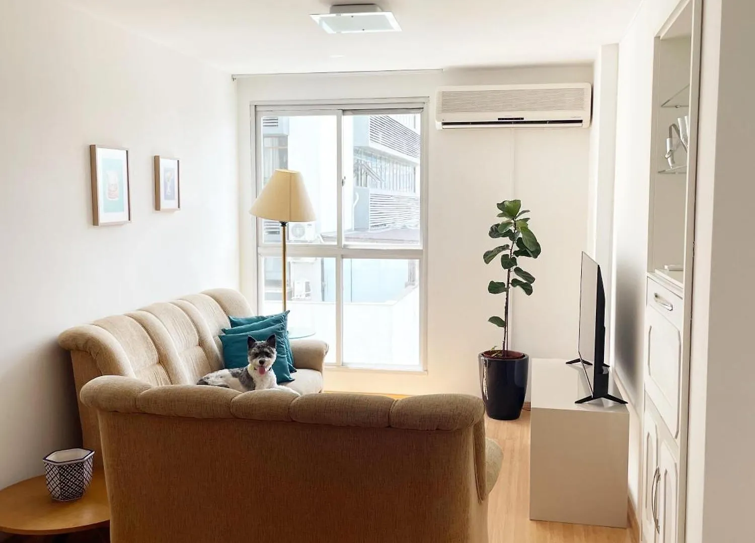Apto Agradavel Centro Floripa! Florianópolis Apartamento